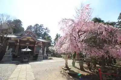 天龍寺(埼玉県)