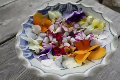 菅原天満宮(菅原神社)の手水舎