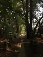 天神社(千葉県)