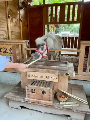 平塚八幡宮(神奈川県)