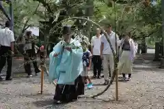 天鷹神社のお祭り