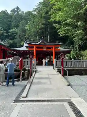 九頭龍神社新宮(神奈川県)