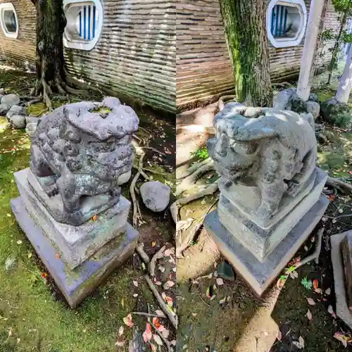 赤坂氷川神社の狛犬