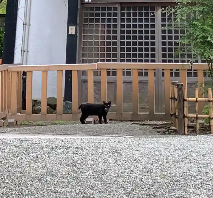 伊勢山皇大神宮のその他建物
