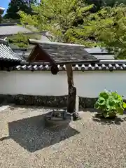 金剛寺(大阪府)