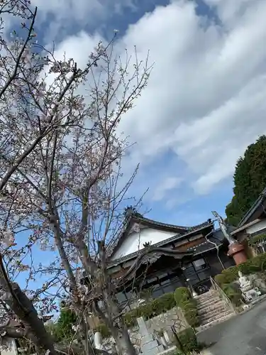 大道寺の建物その他