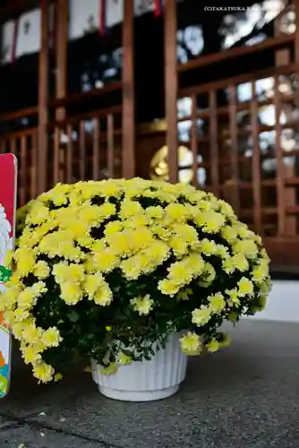 下神明天祖神社(東京都)