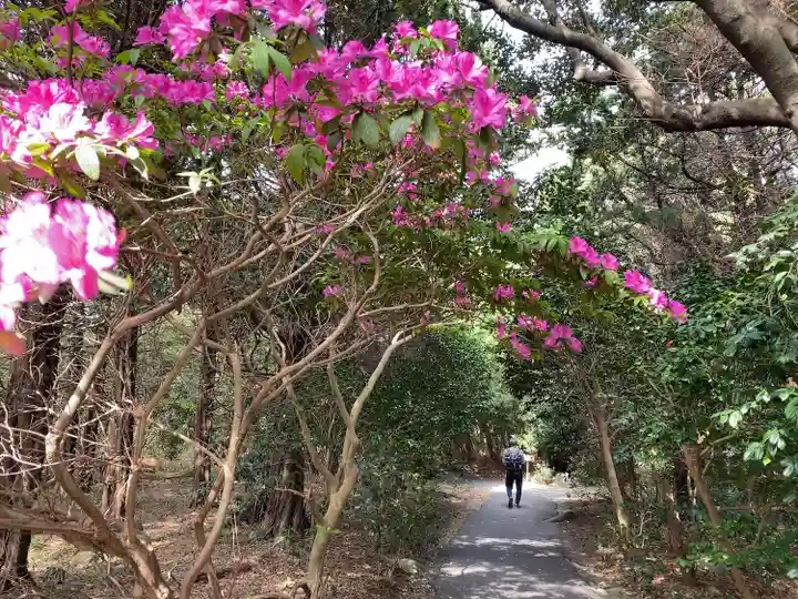 大瀬神社(静岡県)