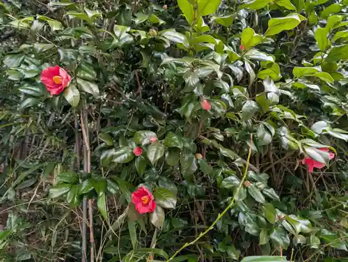 日枝神社(福島県)