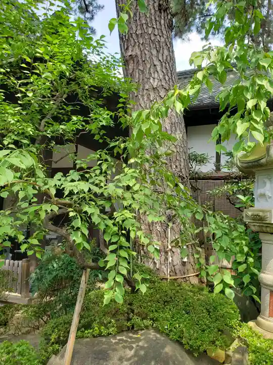 玄国寺(東京都)