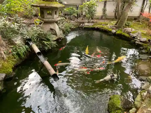一條殿 新善光寺(京都府)