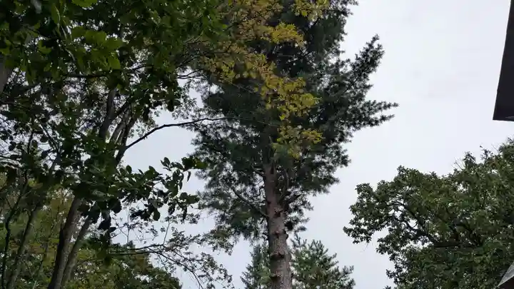 足寄神社の自然