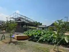 家原寺(大阪府)