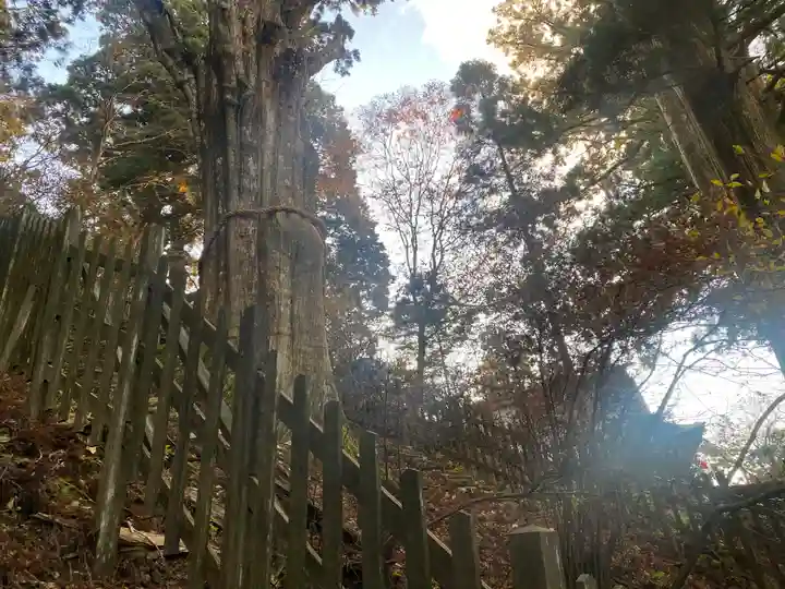 玉置神社(奈良県)
