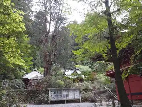 花園神社(茨城県)