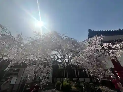 道成寺(和歌山県)