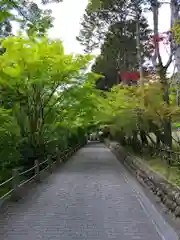 尊永寺の建物その他