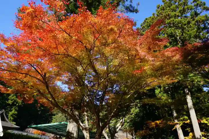 小國神社の自然