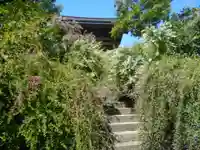 海蔵寺の山門・神門