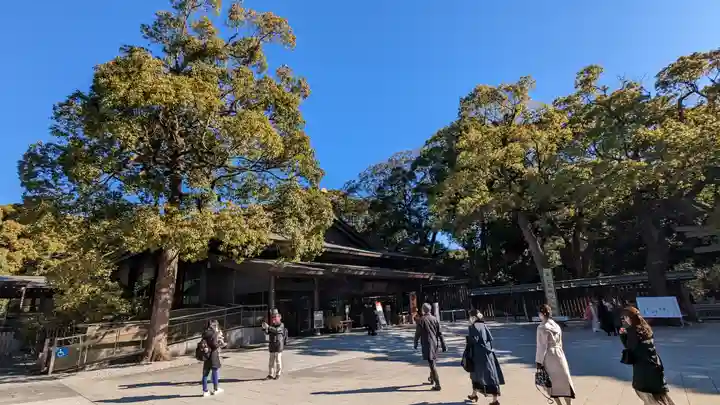 明治神宮(東京都)