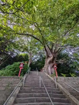 常陸第三宮 吉田神社(茨城県)