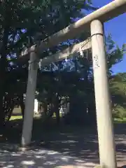 中嶋神社の鳥居