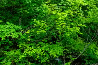 戸隠神社九頭龍社(長野県)