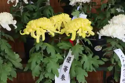 高麗神社のその他建物