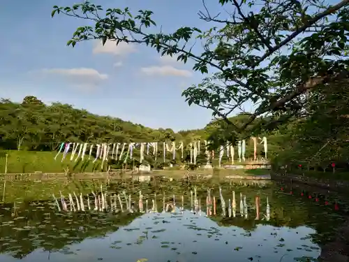 蓮華寺池弁天(静岡県)