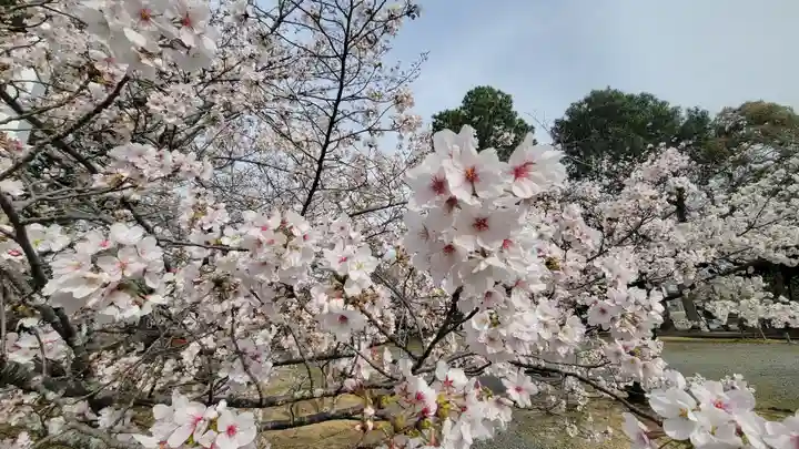 愛媛縣護國神社(愛媛県)