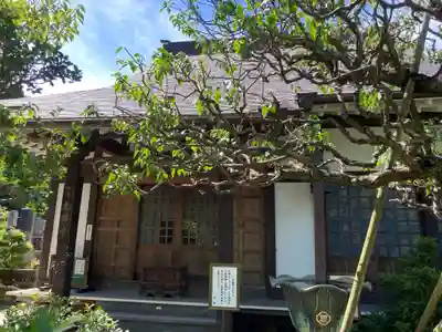 光照寺の本殿・本堂
