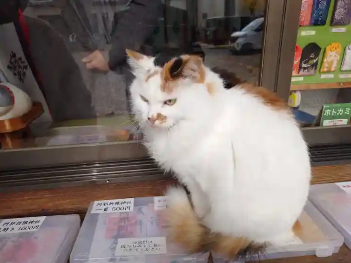 阿邪訶根神社(福島県)