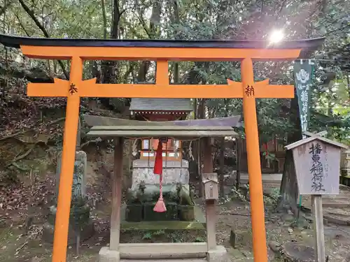 大宮八幡宮の末社・摂社