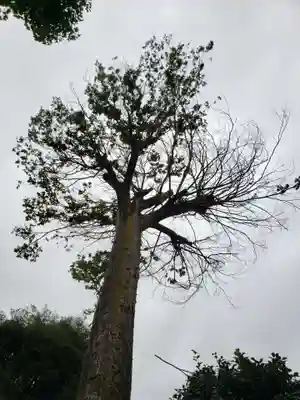 八幡神社(東京都)