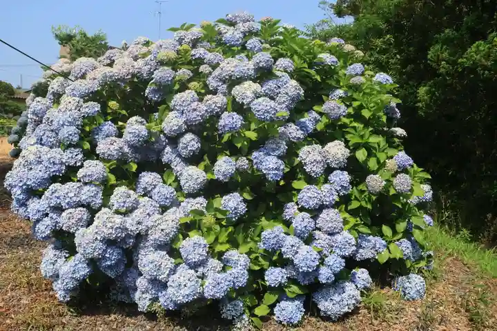 熊野福藏神社の庭園