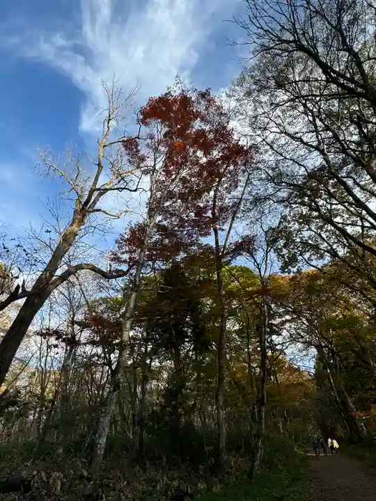 戸隠神社九頭龍社(長野県)