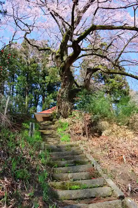 荒井馬頭観音堂の景色