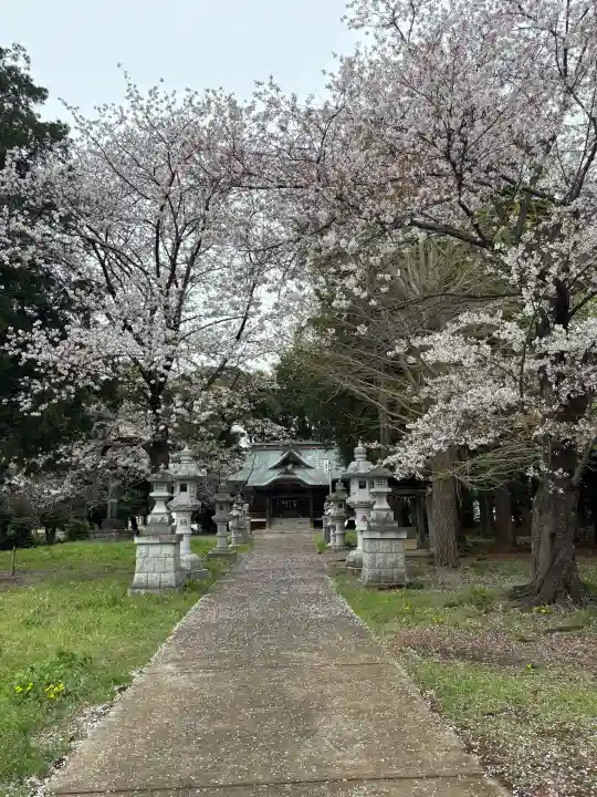 八坂神社の{uncategorized: "未分類", other: "その他", undefined: "問題あり", building: "その他建物", grave: "お墓", sacred_gate: "鳥居", guardian: "狛犬", statue: "像", buddha: "仏像", history: "歴史", nature: "自然", garden: "庭園", animal: "動物", pagoda: "塔", temizu: "手水舎", mountain_gate: "山門・神門", sanctuary: "本殿・本堂", subordinate: "末社・摂社", art: "芸術", scenery: "景色", jizo: "地蔵", ema: "絵馬", goshuin: "御朱印", omikuji: "おみくじ", items: "授与品その他", amulet: "お守り", goshuincho: "御朱印帳", eats: "食事", festival: "お祭り", votive_dance: "神楽", shichigosan: "七五三参", wedding: "結婚式", experience: "体験その他", initially: "初詣", around: "周辺", anti_infection: "感染症対策"}