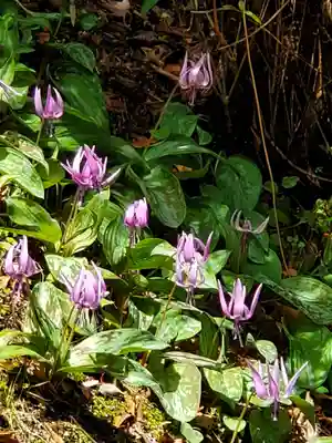 三春大神宮(福島県)