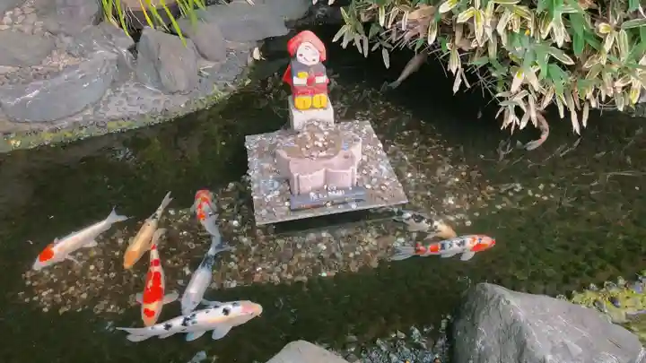 櫻木神社の動物