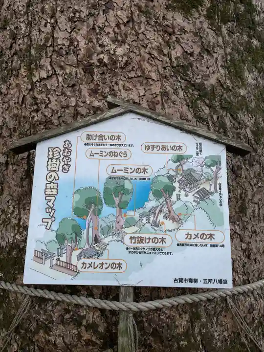 五所八幡宮のその他建物