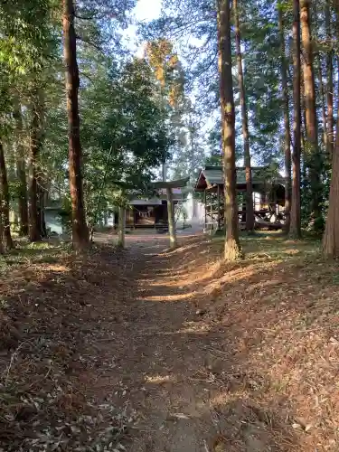 磐裂根裂神社の{uncategorized: "未分類", other: "その他", undefined: "問題あり", building: "その他建物", grave: "お墓", sacred_gate: "鳥居", guardian: "狛犬", statue: "像", buddha: "仏像", history: "歴史", nature: "自然", garden: "庭園", animal: "動物", pagoda: "塔", temizu: "手水舎", mountain_gate: "山門・神門", sanctuary: "本殿・本堂", subordinate: "末社・摂社", art: "芸術", scenery: "景色", jizo: "地蔵", ema: "絵馬", goshuin: "御朱印", omikuji: "おみくじ", items: "授与品その他", amulet: "お守り", goshuincho: "御朱印帳", eats: "食事", festival: "お祭り", votive_dance: "神楽", shichigosan: "七五三参", wedding: "結婚式", experience: "体験その他", initially: "初詣", around: "周辺", anti_infection: "感染症対策"}