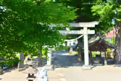 瀧宮神社(埼玉県)