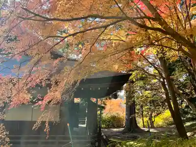 弘川寺(大阪府)
