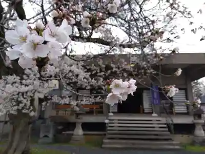 妙経寺(福井県)