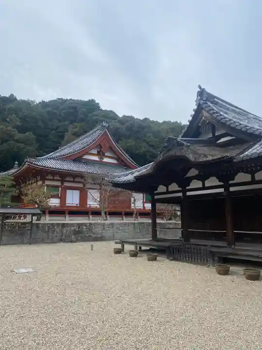 金剛寺(大阪府)