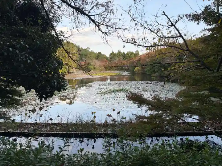 龍安寺(京都府)