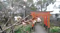 平野神社の自然