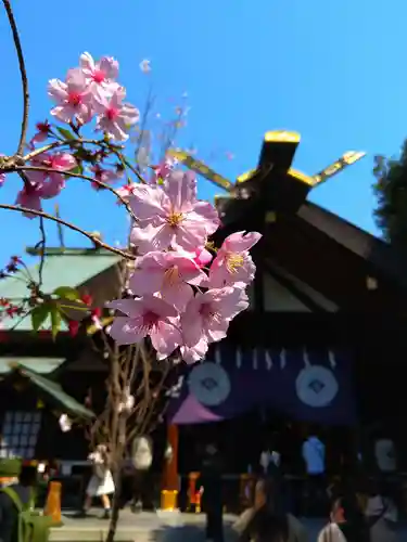 東京大神宮(東京都)