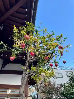 正山寺(東京都)